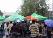 ������300���Ｏ���ֳ�����(ͼ)