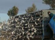 ͨ�ɳ��Ź���180����ͼƬ����