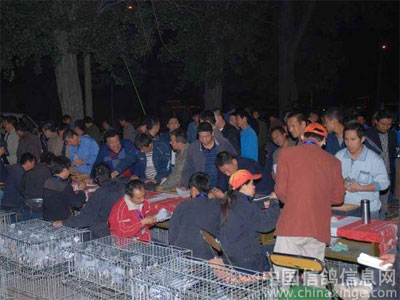 ̫ԭ���ƺ300������ǧ�����ʵ��