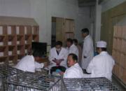 ����ǭԴ����Ԥ��������ͼ