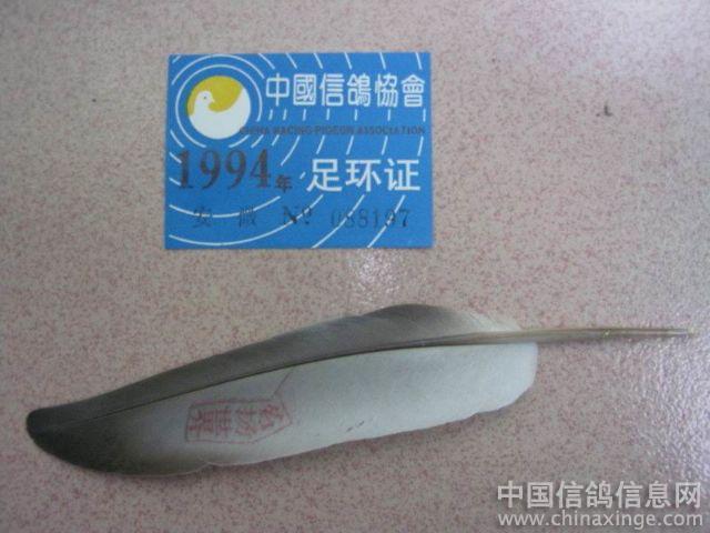 ���ع���չ������ƪ��Ӱ���������������������