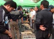 ����500�����׸��������ͼ��