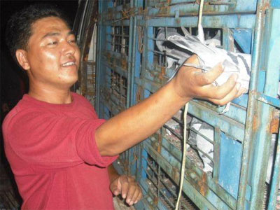 09���������׳�300���ﱨ��ʵ¼