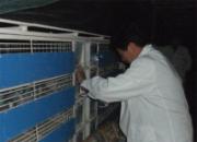 ��ͷ��������500��������ֳ�(ͼ)