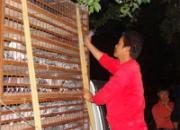 ����潭����ƽ���رȻ���ǿ��(ͼ)