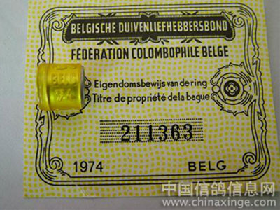 �����۽�(ͼ)