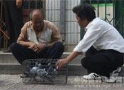 �������ظ�Э300���ﾫӢ������(ͼ)