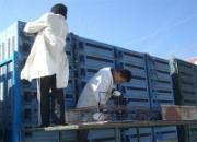 ��������������ؼ����ֳ�����