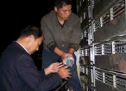 ������ͷ300���Ｏ���ֳ�(ͼ)