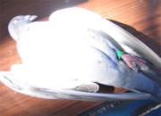 ������̨������ȡ���ھ���ͨ��