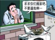 ��ռ�յ����ϡ���ҡ�