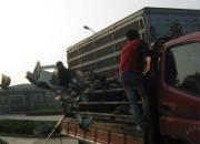 �����������׾�������վ����