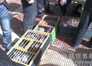 ����������Э�رȾ�������(ͼ)