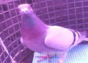 �����ϸ�Ҳ��ھ�