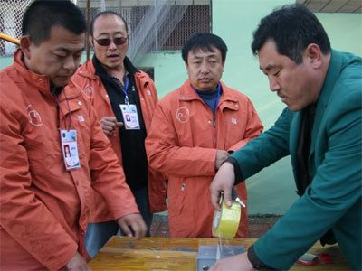 ������������600��Ԫ��������(ͼ)