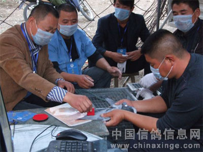 ���ն�������260����Ԥ��ͼ�ı���