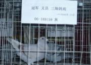 �������繫��佱�����ֳ�һƳ