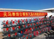 ��������������������Ứ��