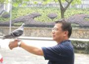 �������ģ�����Ÿ��빷