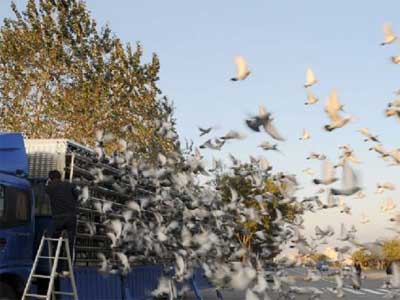 �������＾�׳��رȻ���7ʱ18�ֺױڿ���