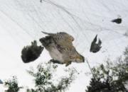 ˭�����ٲ��������(ͼ)