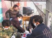 ��ɽ���Ź������������̼���