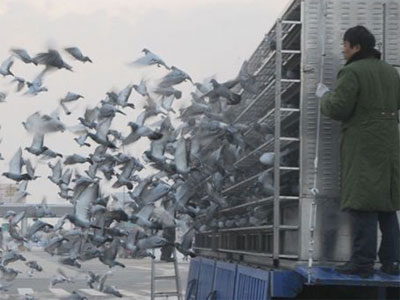 �����＾�رȻ��ڶ���16��7ʱ18�ֿ���