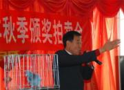 �������������᳡��ͼ