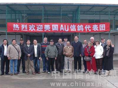 ����AU�����ŵ����Ϻ���������