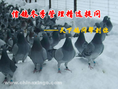 �Ÿ붬��������ѡ����