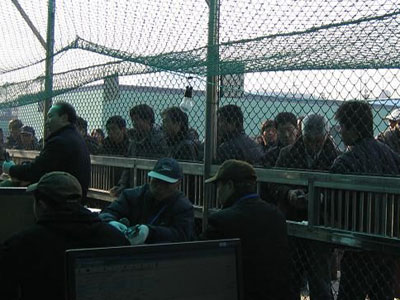 �����й����׸��������ֳ�����