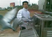 �����Ÿ�˳������(ͼ)