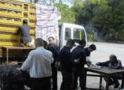 ���ݺ�������������ֳ�