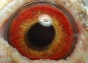 �����Ÿ���Ӱ�ĺ��ڴ���ͼ(һ)