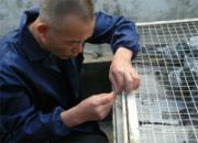 ���ϸ�ԭ�������ͼƬ����