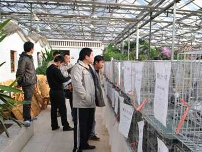 �ٸ�԰���˱��佱������Ứ��