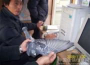 ��Ħ�Ϻ�������뱭�����ش���