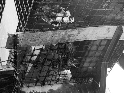 ��������ļ� ����䡰���롱