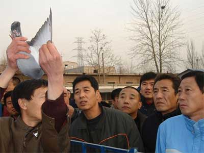 �й������Ÿ빫����������ǰ������Ƭ