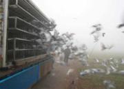 �й������Ÿ빫������������ͼƬ����