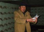 ����³�ǹ���ڶ���Ԥ���ֳ�(ͼ)