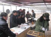 �ӱ�Ӱ��500������������ֳ�