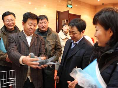 ���͸�Э����ʮ�����»��������ٿ�(ͼ)