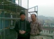 ���ڴ���԰�����Ĺ���Բ������(ͼ)