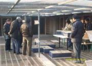 ������������������Ƭ