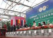 ��������ʢ������񽱸�����ͼ