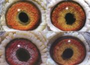 1%�ĳ����ָ�3%�ĳ������루ͼ��