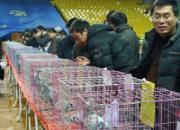 ��̨ɽ������ʤ��佱���������