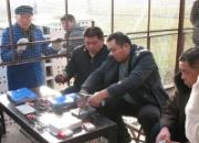 ɽ�������Ծ����ֳ�ͼƬ����