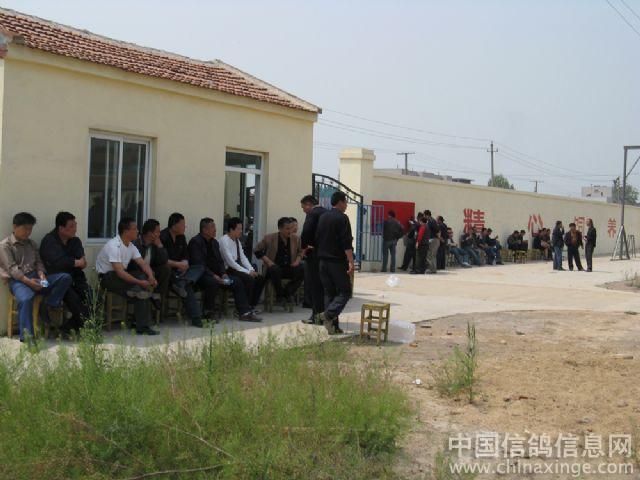 ɽ�������������ľ����ֳ���ͼ��